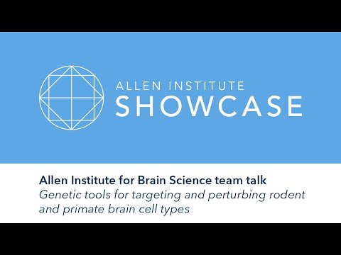 Genetic tools for targeting and perturbing brain cell types | 2019 Allen Showcase Symposium