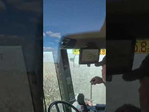 Comenzó la cosecha de maiz en Las Lomitas, Formosa - Productor Juan De Hagen