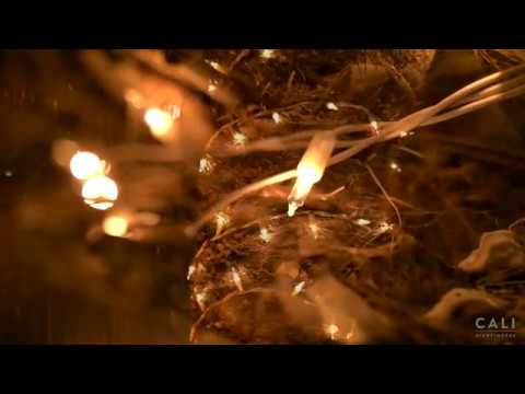 Promotional video thumbnail 2 for Luxury Event Planning