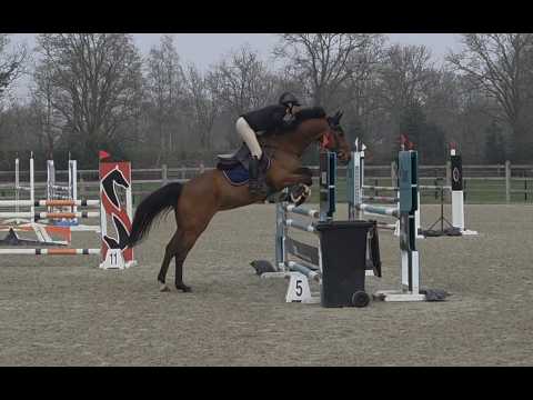 O'Chapeau MB ☆ (CHAPEAU TN x CAROMBOLE) - Video 2 video thumbnail