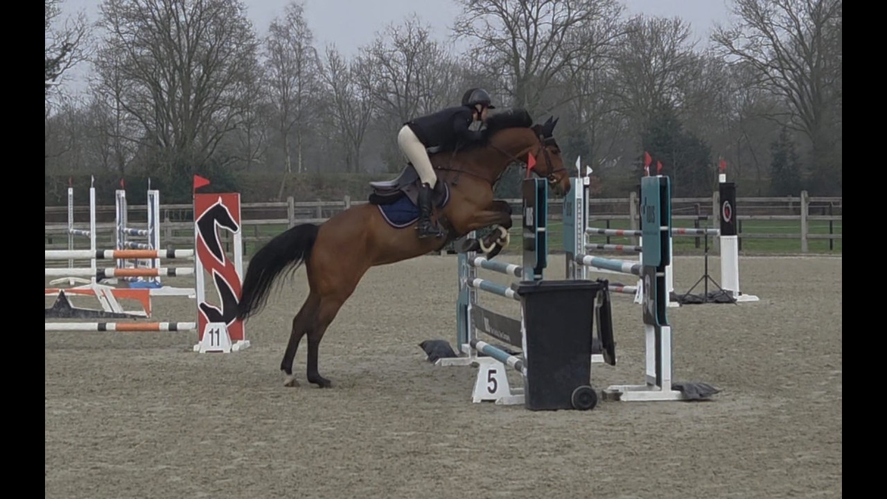 O'Chapeau MB ☆ (CHAPEAU TN x CAROMBOLE) video 1