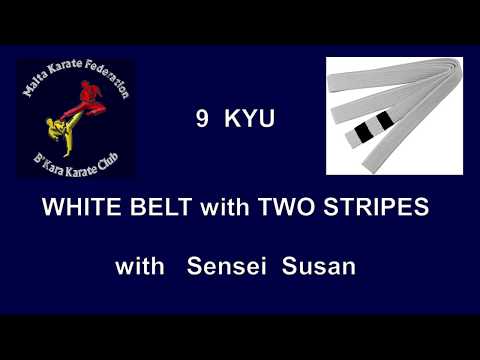9 KYU - WHITE BELT WITH TWO STRIPES SYLLABUS