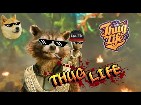Rocket Thug Life Part-3 Hindi | Rocket Raccoon Funny Scenes Hindi | GOTG Vol. 3 | YTTRENDS.