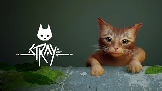 【ゆっくり実況】Twitterでバズった話題のゲーム!自分が猫になってサイバーパンクな世界を大冒険!! stray part1【 ゲーム実況】
