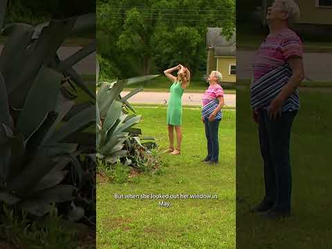 Rare plant gets ready to bloom after 36 years