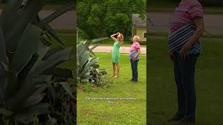 Rare plant gets ready to bloom after 36 years