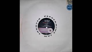 B.M.R.Feat. Felicia - Check It Out! (Everybody) (Nu Club Mix)