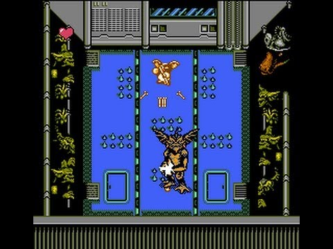 Gremlins 2 - Nes - The New Batch - Full Playthrough - No Death