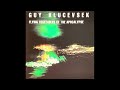 Guy Klucevsek - Flying Vegetables of the Apocalypse