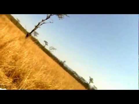 Mountain Biker gets taken out by BUCK (Hartebeest )