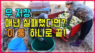 무 하나로 1석 3조! ①무 수확 ②비싼 시래기 ③내년 봄까지 '돈' 아껴주는 기적의 저장법