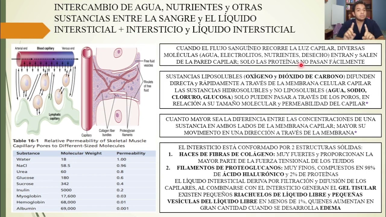 FISIOLOGÍA: MICROCIRCULACIÓN y SIST. LINFÁTICO: INTERCAMBIO DE LÍQUIDO CAPILAR, INTERSTICIAL, FLUJO