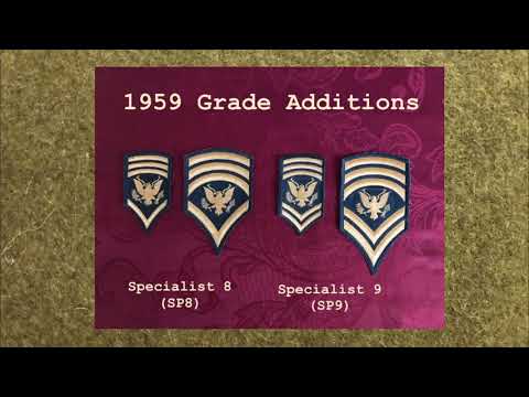 US Army Specialist Insignia of Grade - a Brief History