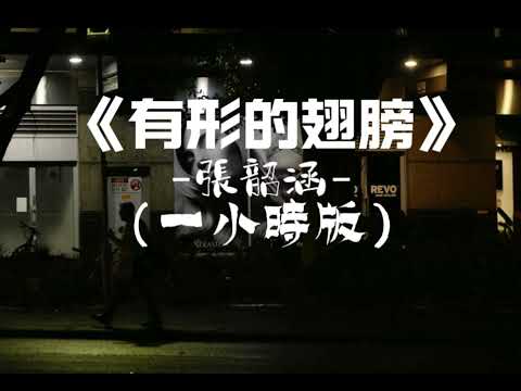《有形的翅膀》-張韶涵（一小時版）「帶著我低擋曾受過的傷，每一個孤單的晚上 我們是彼此有形的翅膀，學著更堅強」