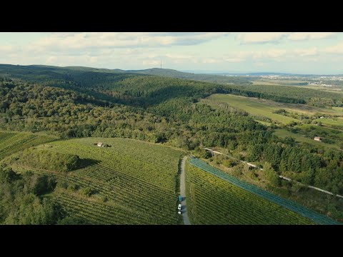 Soproni-hegység 2. - A nyugati gyepűvidék emlékei