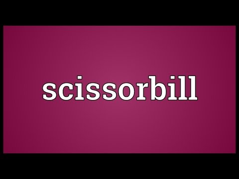 Scissorbill Meaning