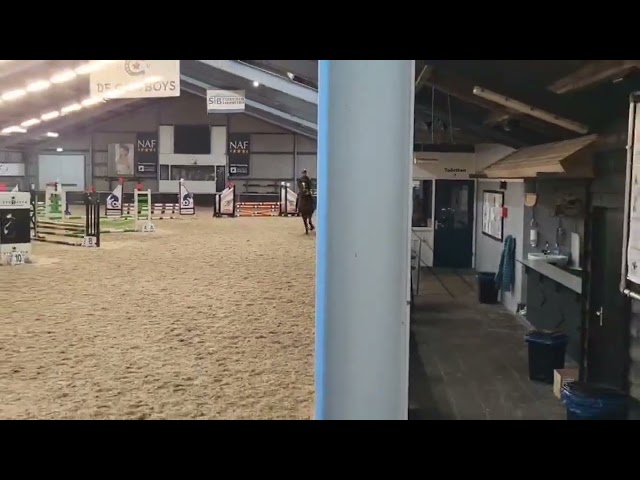 Grandorado's Grace trainingsvideo