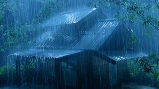 Fall Asleep Fast in 3 Minutes (NO ADS) Heavy Rain and Thunder on Tin Roof in the Forest