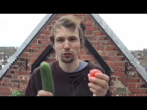 Why you cannot eat tomato and cucumber at the same time