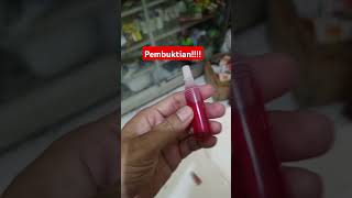 Download lagu RACUN TIKUS MAOWANG #racuntikus #racuntikuscair #maowangcair mp3