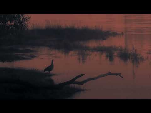 Symbiose - Starwheel