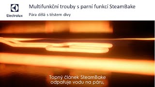 Funkce SteamBake