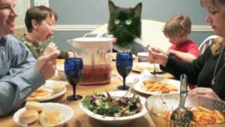 Cover art for Spaghetti Cat (I Weep For You)