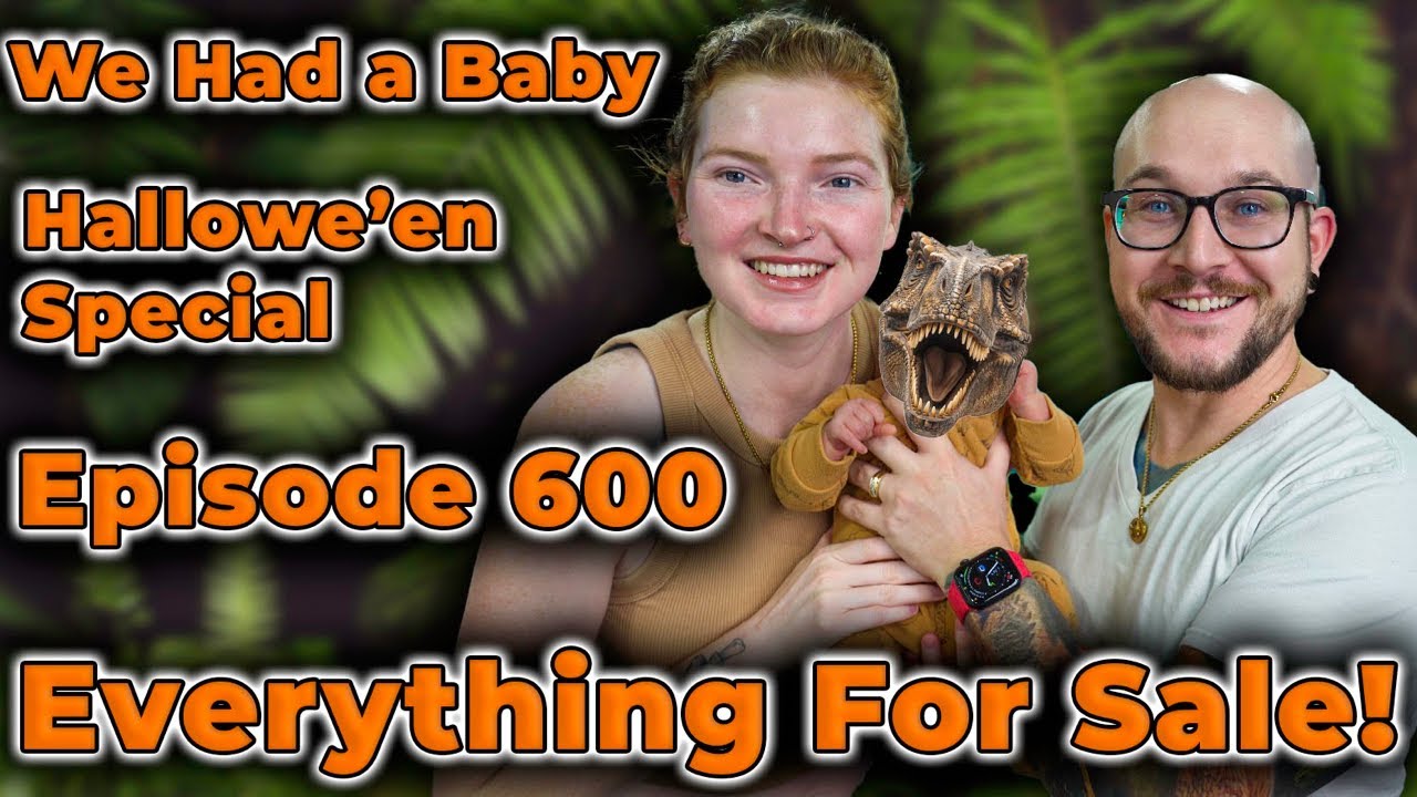 Introducing Vibes: A New Way to Discover and Create AI Videos