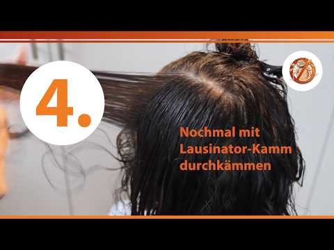 Kopfläuse-Video: Läuse & Nissen im Haar auf dem Kopf erkennen – aktuelle Studienlage