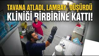 Sokak Kedisi Veteriner Kliniğini Birbirine Kattı