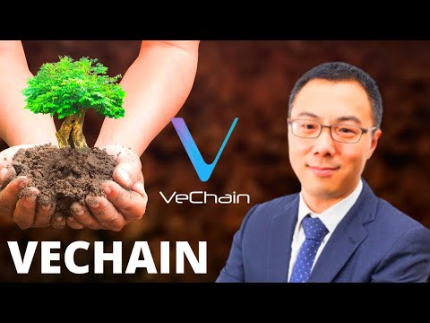 VeChain Partners With Jones Lang LaSalle China To Eliminate Carbon In Real Estate!
