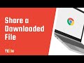 Share a Downloaded File