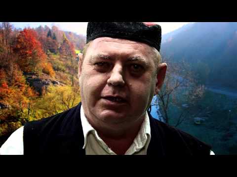 Zdenko Nikšić   Vječni sokol ( IN MEMORIAM 15. 03. 2014.)