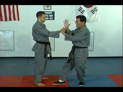 Ji, Han Jae Hapkido Cross Hand Technique 1