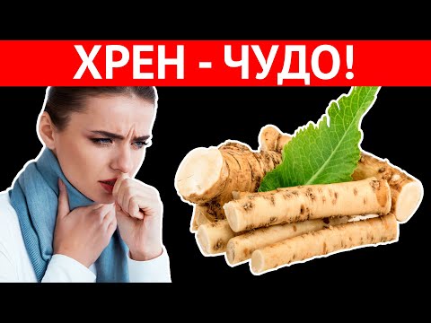 КОРЕНЬ ВОЗРОЖДЕНИЯ! Всего один кусочек ХРЕНА и организм как Новый. Врачи шокированы!