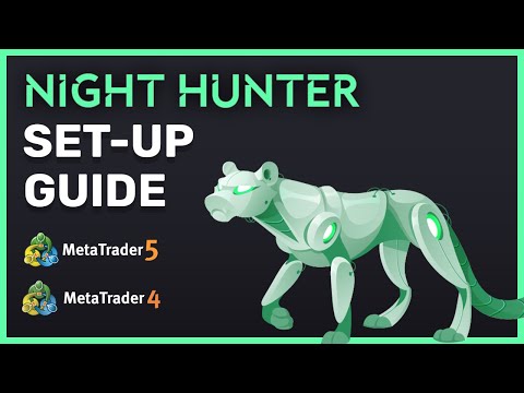 Night Hunter Pro MQL Expert Advisor Set-Up Guide: How To Install & Configure - Valeriia Mishchenko