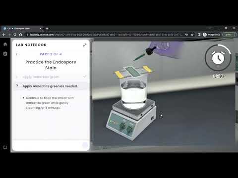 Pearson Interactive Labs | Endospore Stain