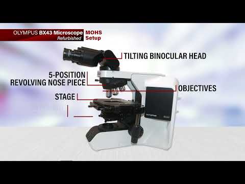 Olympus BX43 Refurbished Microscope