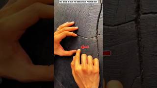 Download lagu The 5000-Year-Old Tree and the Secret of Time. #shortsfeed mp3