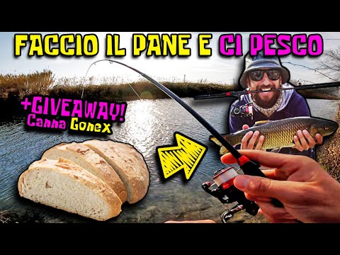 From COOKING to CATCHING with Bread | New Gonex Fishing Rod Test + GIVEAWAY!