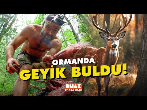 Ed Stafford Ormanda Geyik Buldu! | Ed Stafford ile Kurtuluş Öyküleri