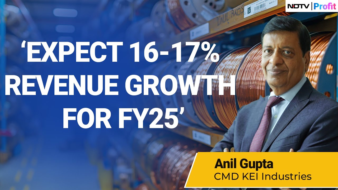 KEI’s Big Leap: Expansion, Export Revival, and Margin Makeover in FY25