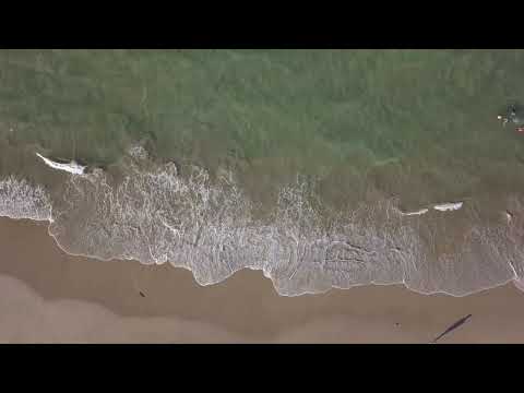 Splashing Waves All Day on Playa Encuentro