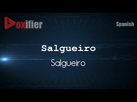 How to Pronounce Salgueiro (Salgueiro) in Spanish - Voxifier.com