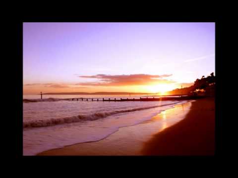 Barthezz vs. Safri Duo - Played Infected DJ Pelos Remix