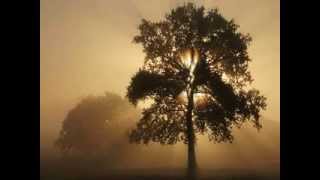 Akhenaton Immacolata