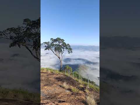 PEDRALVA É LINDA DEMAIS