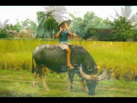 Thể hiện bởi Phương Trần