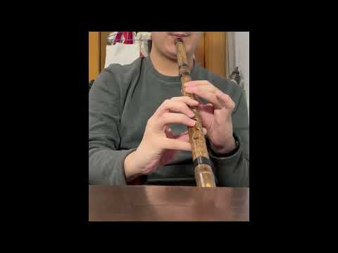 DST starver's carol by pan flute