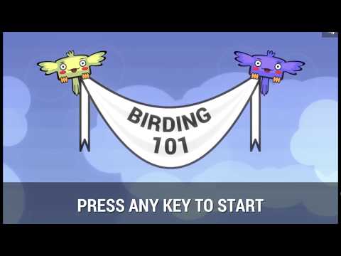 Birding 101 youtube-video